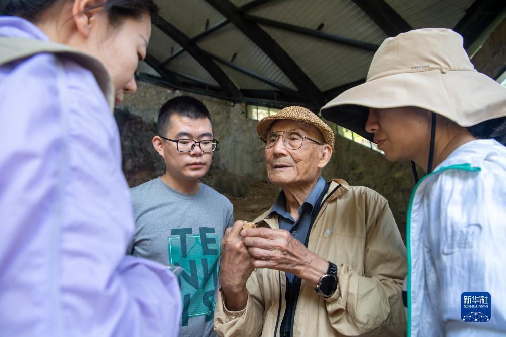 免费游戏捕鱼